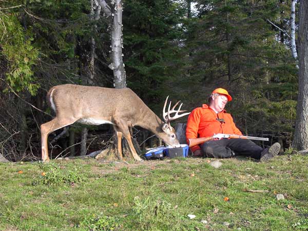 funny-deer-picture-sleeping-hunter-outdoors-smart-animal-stealing-food