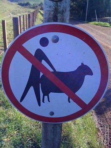 zakaz sexu ovcemi