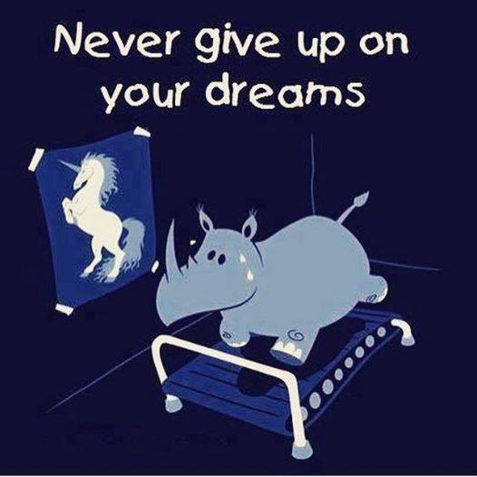 nikdy se nevzdavej svych snu