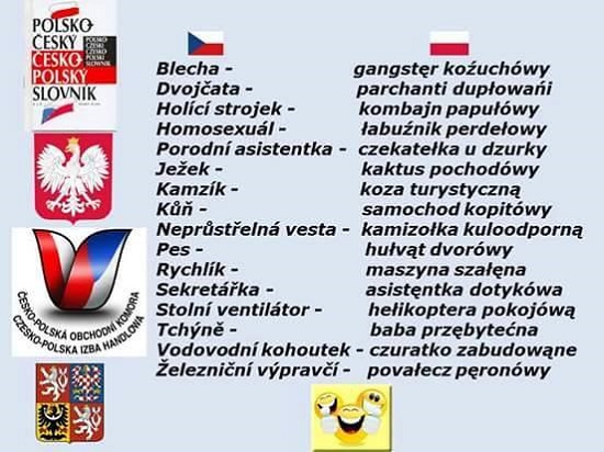 cesko polsky slovnik
