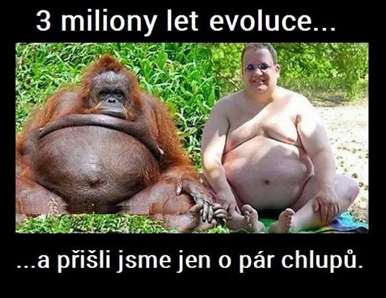 3 miliony let evoluce