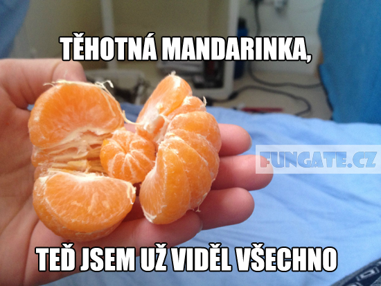 tehotna mandarinka