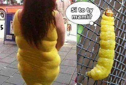 Si to ty mami? 