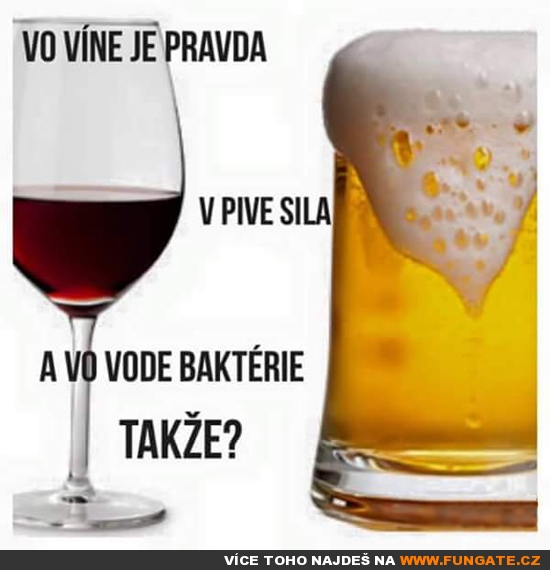 Ve víně je pravda...