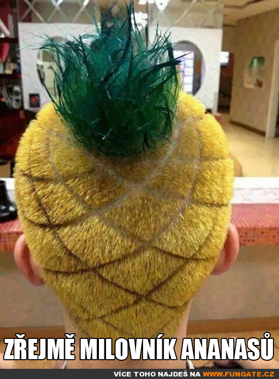 Zřejmě milovník ananasů