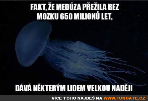 Fakt, že medúza přežila bez...