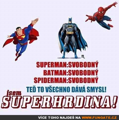 Superman: Svobodný, Batman: Svobodný...