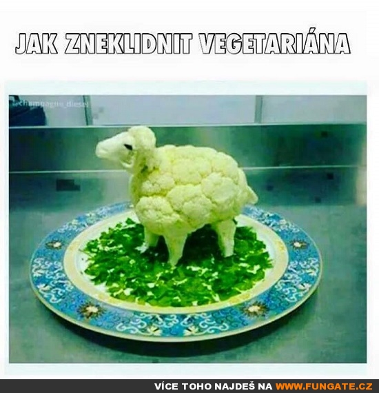 Jak zneklidnit vegetariána