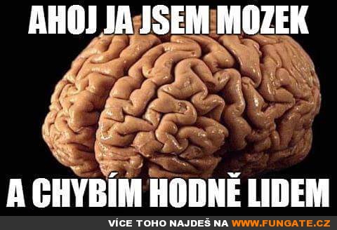 Ahoj já jsem mozek