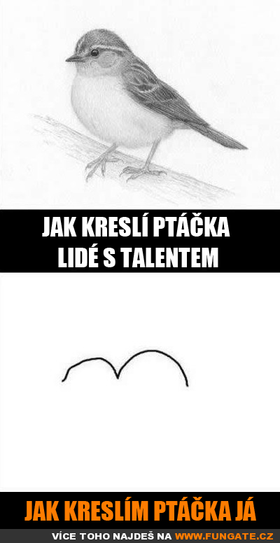 Jak kreslí ptáčka lidé s talentem