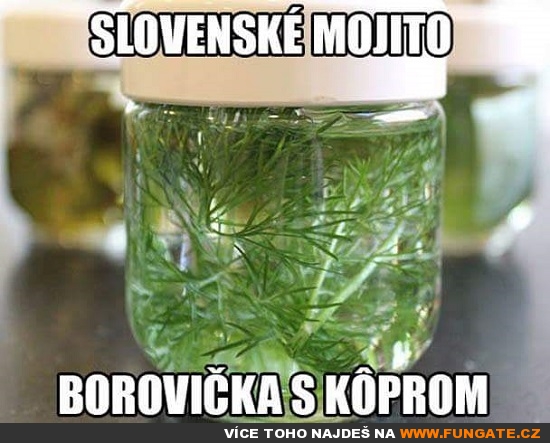 Slovenské Mojito