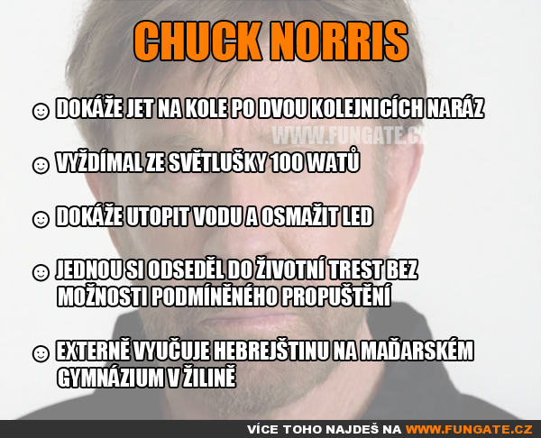 Chuck Norris #3