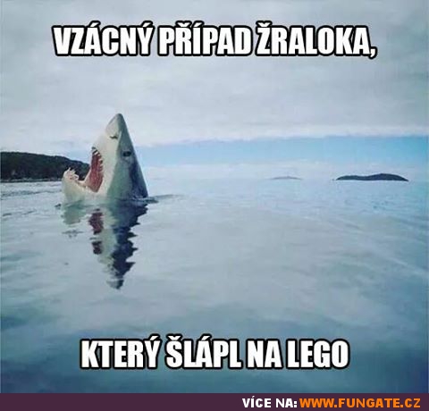 Vzácný případ žraloka, který...