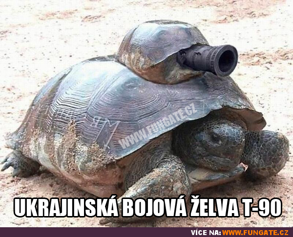 Ukrajinská bojová želva