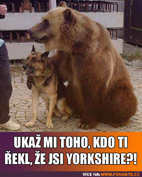 Ukaž mi toho, kdo ti řekl, že jsi Yorkshire?!