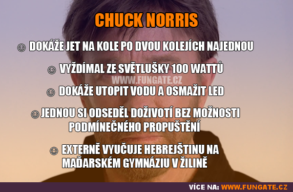 Chuck Norris #6