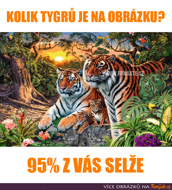 Kolik tygrů je na obrázku?