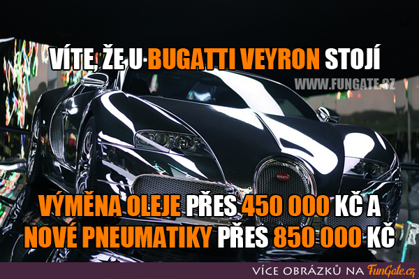 Víte, že u Bugatti Veyron stojí...