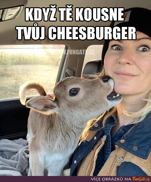 Když tě kousne tvůj cheeseburger