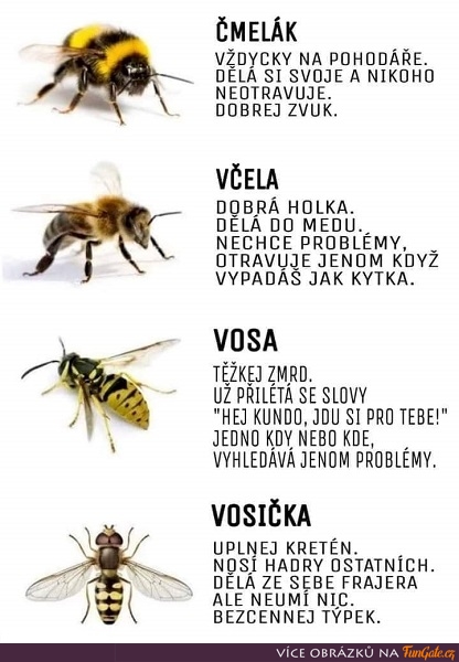 Čmelák, Včela, Vosa a Vosička