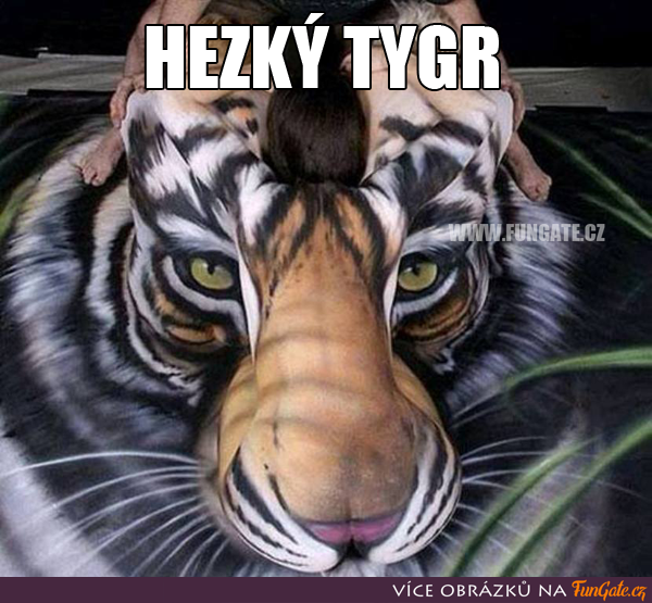 Hezký tygr