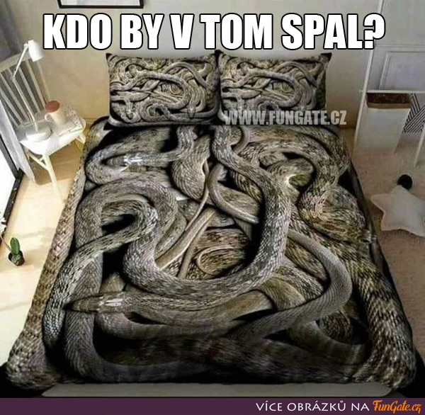 Kdo by v tom spal?
