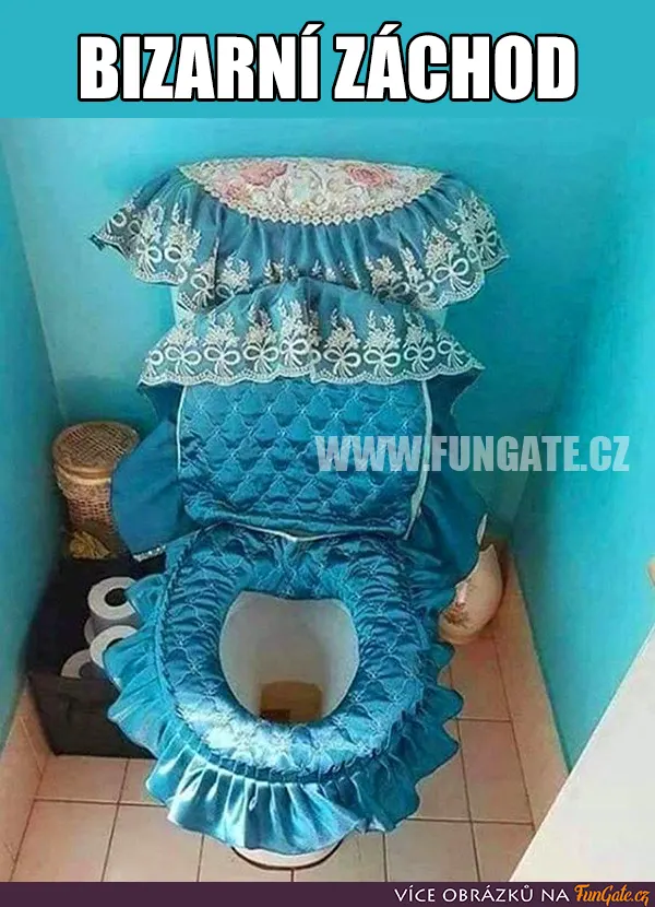 Bizarní záchod