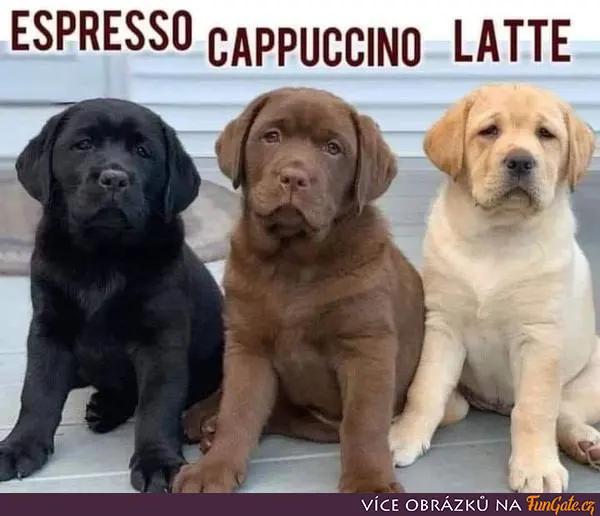 Espresso, Cappuccino, Late