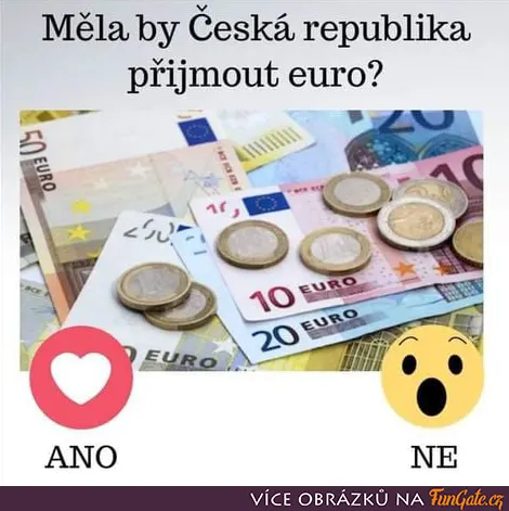 Měla by Česká republika přijmout euro?
