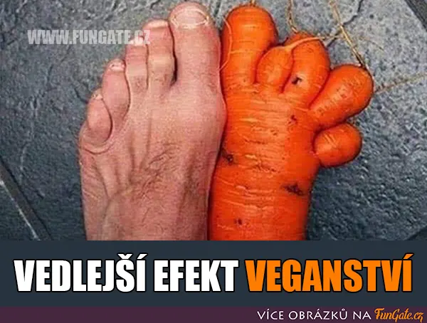 Vedlejší efekt veganství