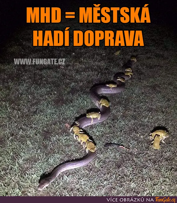 MHD = Městská hadí doprava