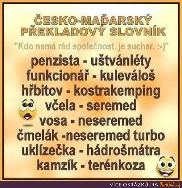 Česko-Maďarský překladový slovník
