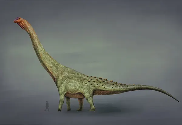 Největším známý dinosaur