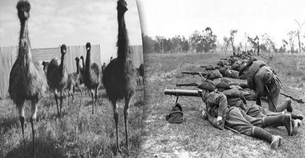 Válka proti emu