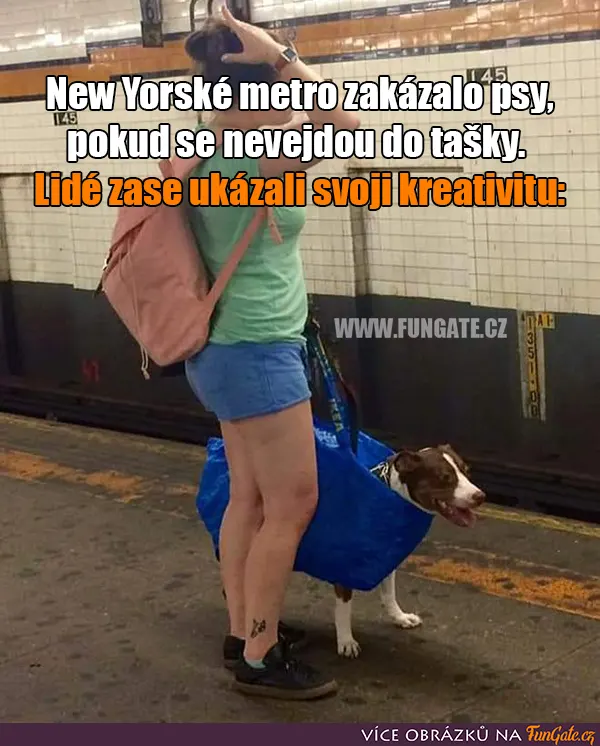New Yorské metro zakázalo psy