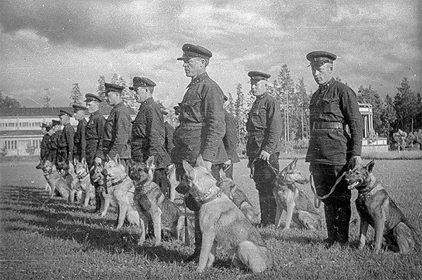 Tankoví psi: Kontroverzní zbraň druhé světové války