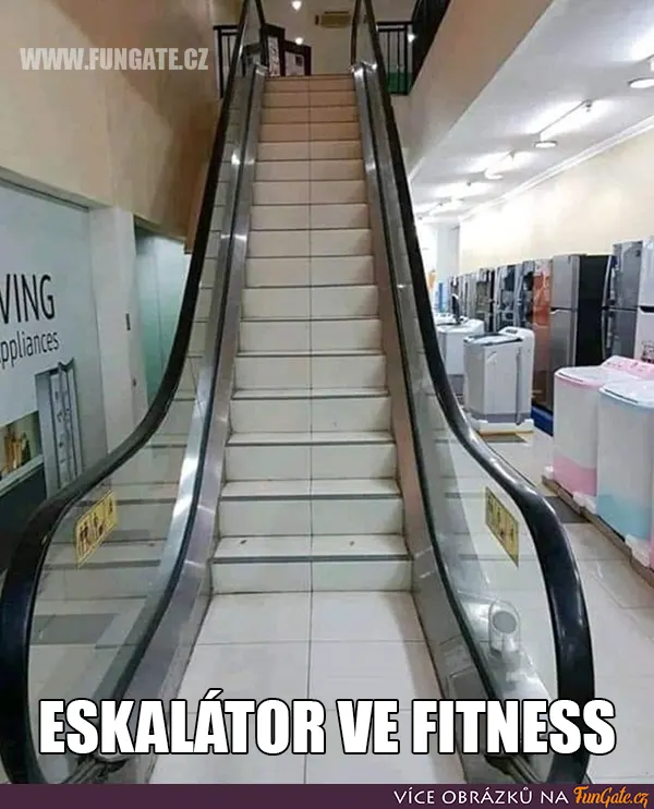 Eskalátor ve fitness