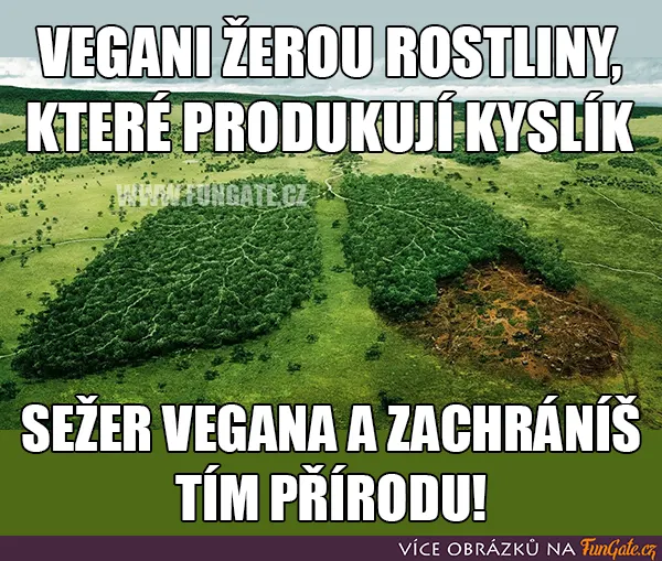 Vegani žerou rostliny, které produkují kyslík