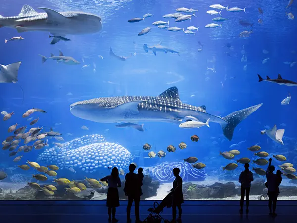Největší akvárium na světě