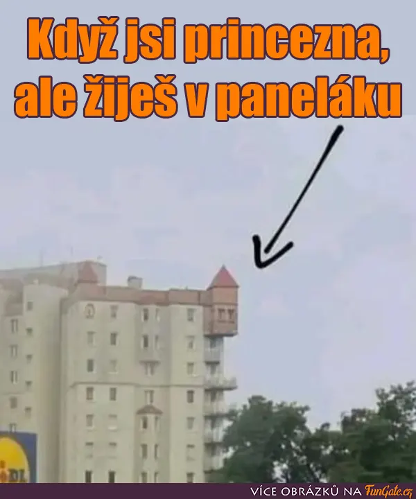 Když jsi princezna, ale žiješ