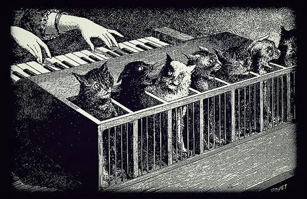 Kočičí klavír Katzenklavier