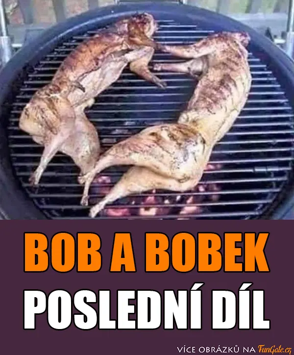 Bob a Bobek poslední díl