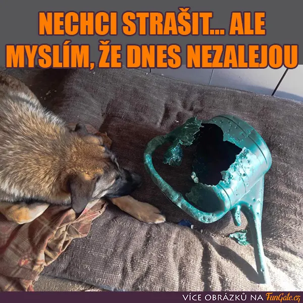 Nechci strašit... ale myslím, že dnes