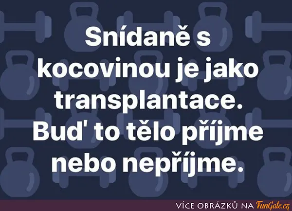 Snídaně s kocovinou je jako