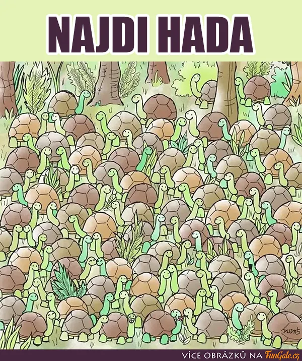 Najdi hada