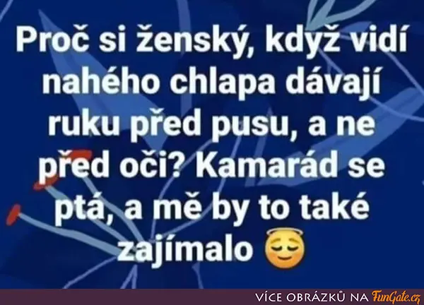 Proč si ženský, když vidí nahého chlapa