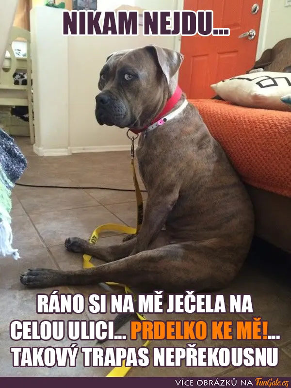 Ráno si na mě ječela na celou ulici...