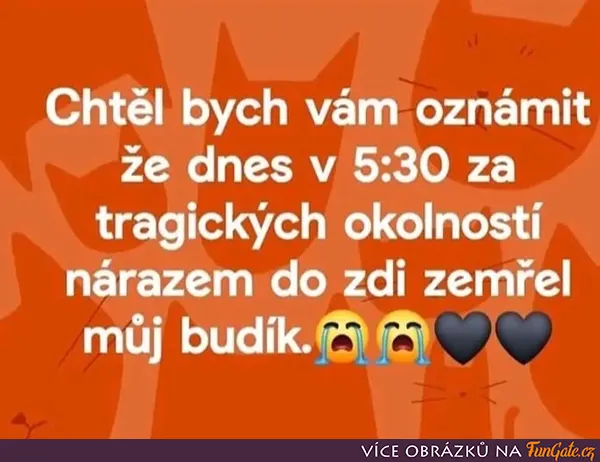 Chtěl bych vám oznámit, že dnes