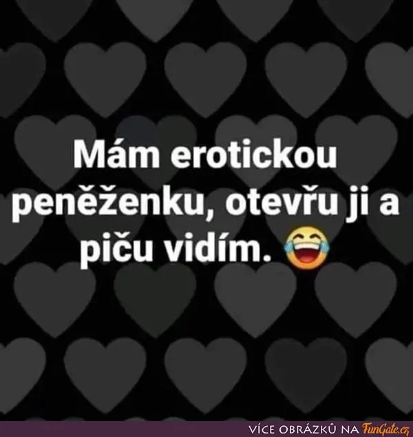 Mám erotickou peněženku, otevřu