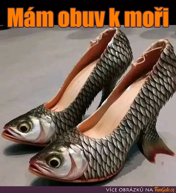 Mám obuv k moři